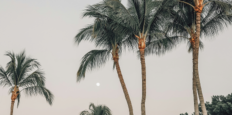 Cabo San Lucas
